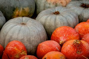 Butternut Squash (Bal Kabağı)