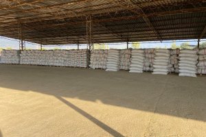 2025 Demir Dikeni Hasadı Tamamlandı