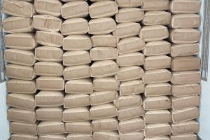 TE-GE, 2025 yılı Göl Soğanı Hasadını Başarıyla Tamamladı