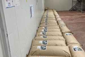 TE-GE, 2025 yılı Göl Soğanı Hasadını Başarıyla Tamamladı